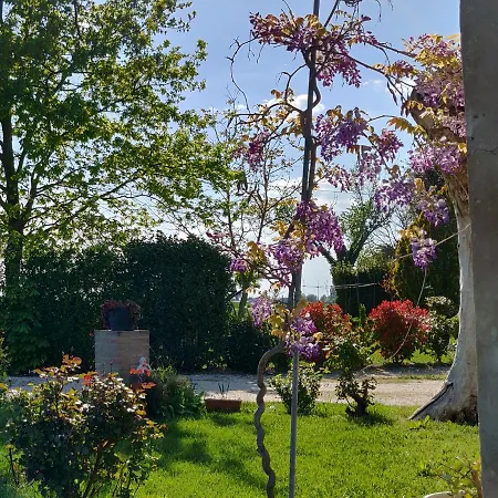 Il Glicine Nascosto Couette-café *