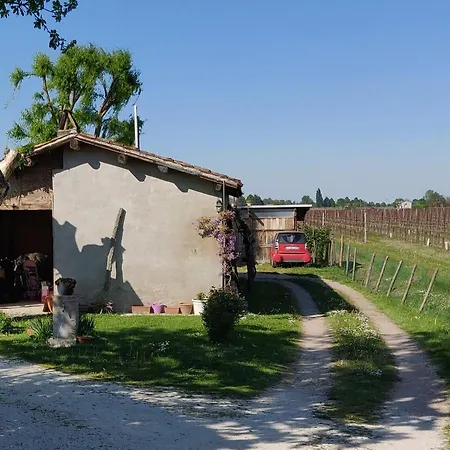 Il Glicine Nascosto 3* Cotignola