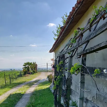 Il Glicine Nascosto * Cotignola