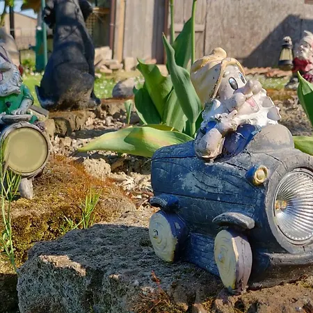 Il Glicine Nascosto 3* Cotignola