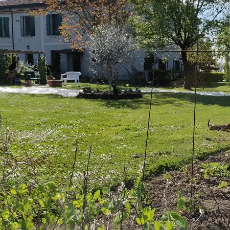 Il Glicine Nascosto Bed & Breakfast Cotignola