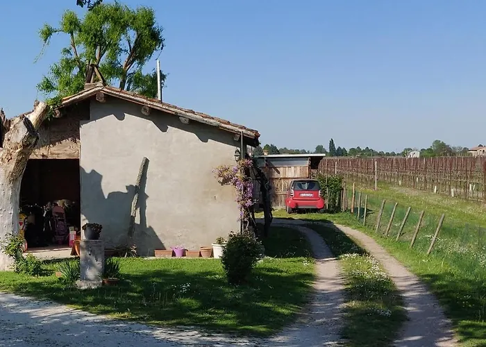 Il Glicine Nascosto 3* Cotignola