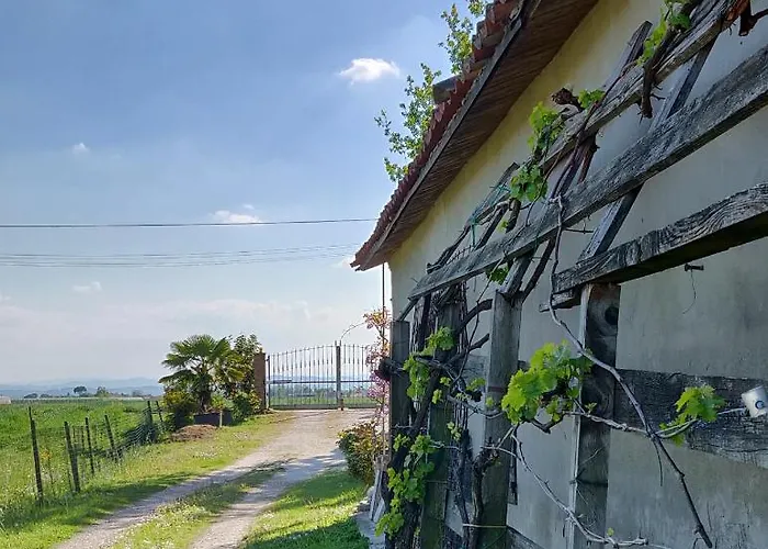 Il Glicine Nascosto 3* Cotignola